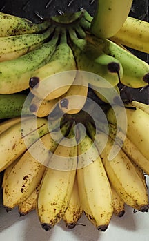 ÃÂ Latundan bananaÃÂ also calledÃÂ Tundan,ÃÂ silk banana,ÃÂ Pisang raja sereh,ÃÂ Manzana banana, orÃÂ apple banana photo
